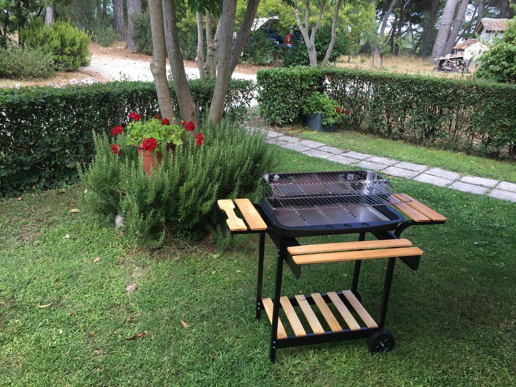Gostinjska kuća Pineta